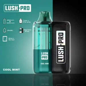 Lush Pro Cool Mint