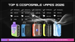 Top 5 Disposable Vapes 2025