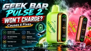 Geek Bar Pulse 2 Won't Charge